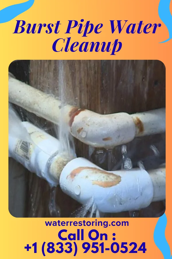 Burst Pipe Water Cleanup in Lowell, MI
