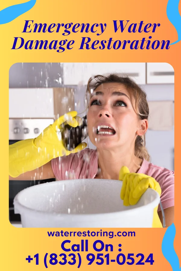 Emergency Water Damage Restoration in Lowell, MI